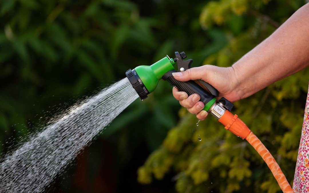 9 Ways to Conserve Water This Summer